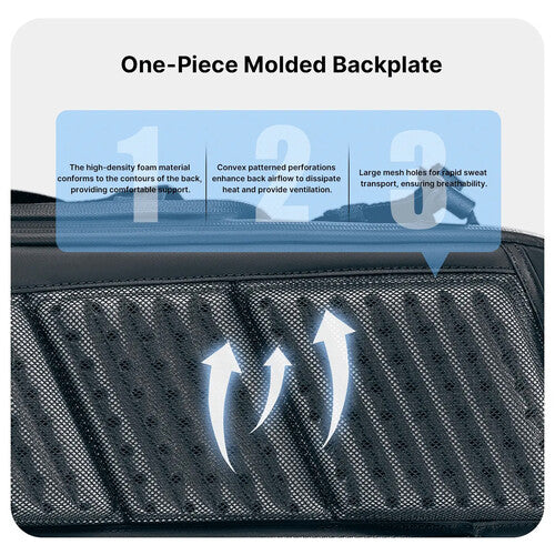 Mochila Backpack Ulanzi BP09