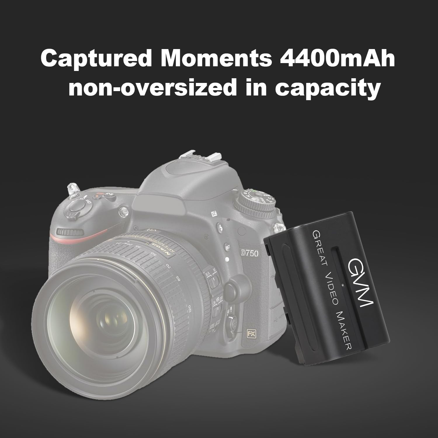 Kit de 2 Baterías GVM NP-F750 con cargadores individuales