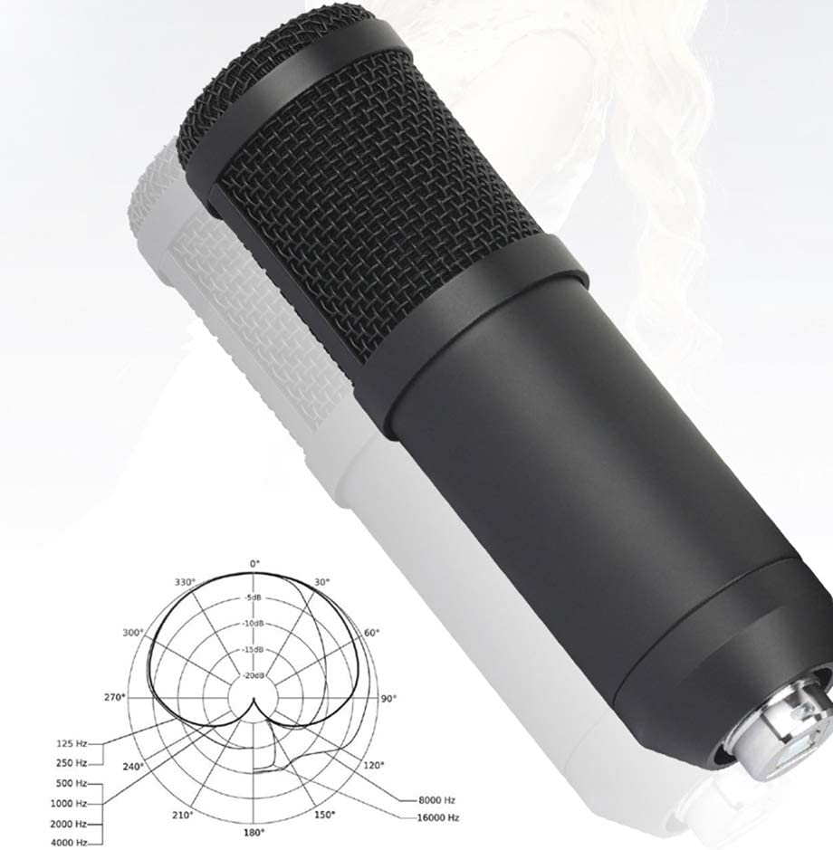 Kit Micrófono Acemic USB-700