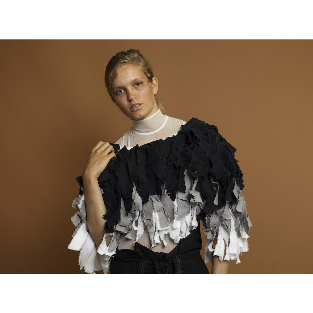 Fondo de Papel 2.7 x 11m Cardamomo