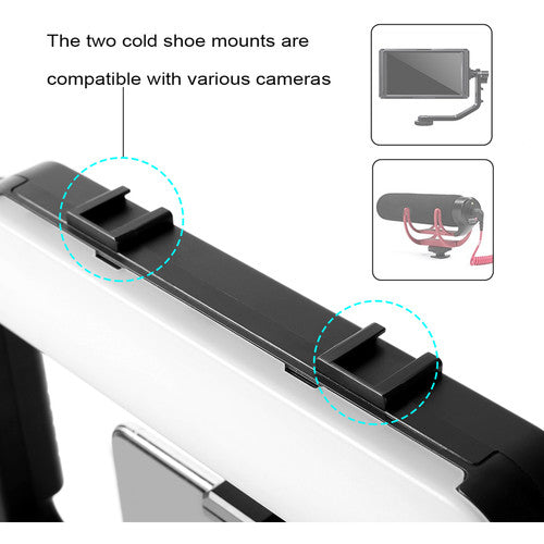 Kit Videorig con lámpara GVM LT-10S