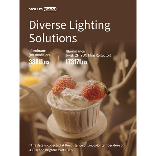 Lámpara Zhiyun Molus X100