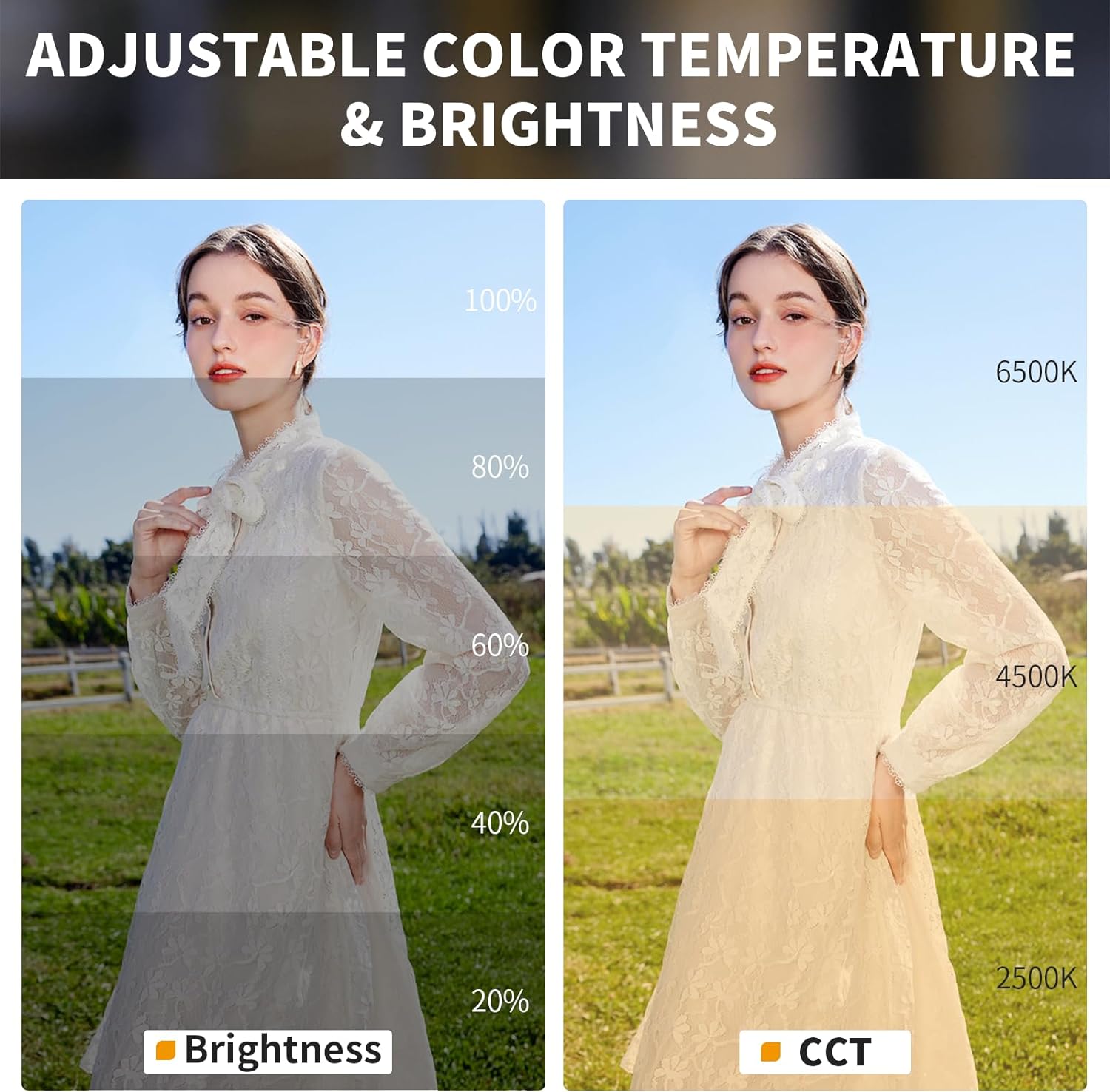 Lámpara Fresnel Portátil Ulanzi LT028 40W