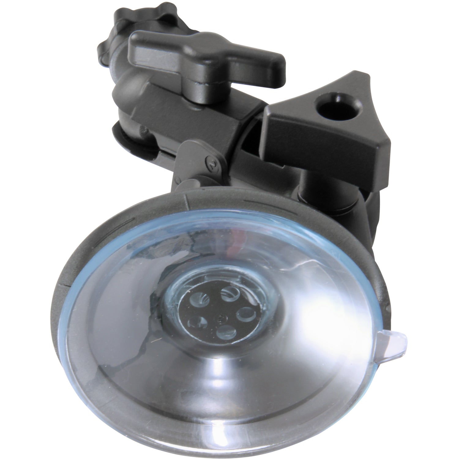 Ventosa Suction Cup Fat Gecko Mini