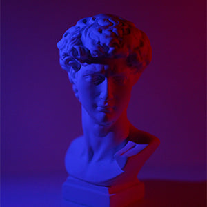 Kit de 8 Filtros de color Neewer para Lámpara Led 660