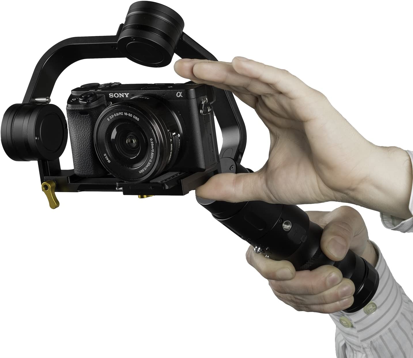 Estabilizador ikan Beholder MS-PRO