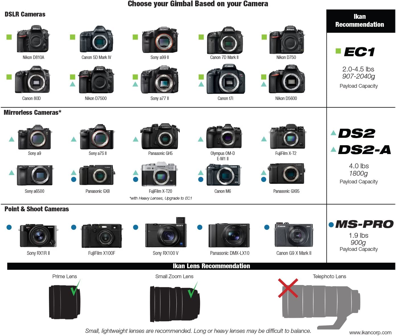 Estabilizador ikan Beholder MS-PRO