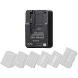 Cargador de batería Sony BC-QM1 (BC-QM1) 3