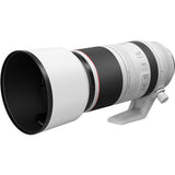 Lente Canon RF 100-500mm f/4-7.1L IS STM (4112C003AA) 2