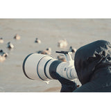 Lente Canon RF 800 F5.6LISU (5055C003AA) 5