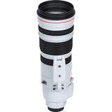 Lente Canon EF 200-400mm F4LISU+EXT (5176B002AA) 7