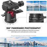 Minitripié SmallRig con Ball Head Panorámica (BUT2664) 7