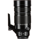 Panasonic LUMIX Lente de cámara Micro Vario-Elmar 100-400mm (H-RSA100400) 5
