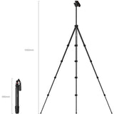 Tripié SmallRig 5473 Compact con soporte Celular 2