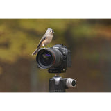 Cámara Mirrorless Canon EOS R6 Mark III Cuerpo (7084C003AA) 8