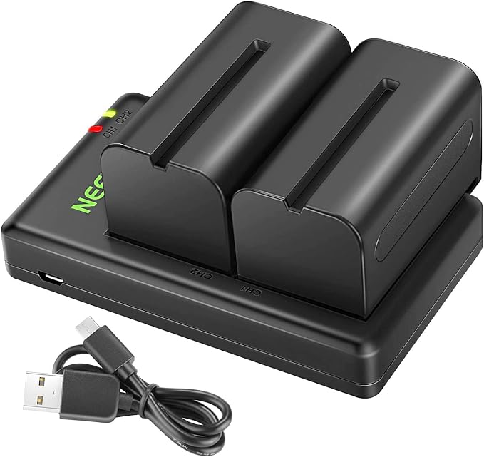 Kit de Cargador Dual y 2 baterías NP-F550 Neewer