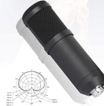 Kit Micrófono Acemic USB-700