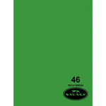 Fondo de Papel 2.7x11 mts Savage Chroma Green