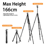 Tripié Cabeza de Bola Zomei G600 (5kg)