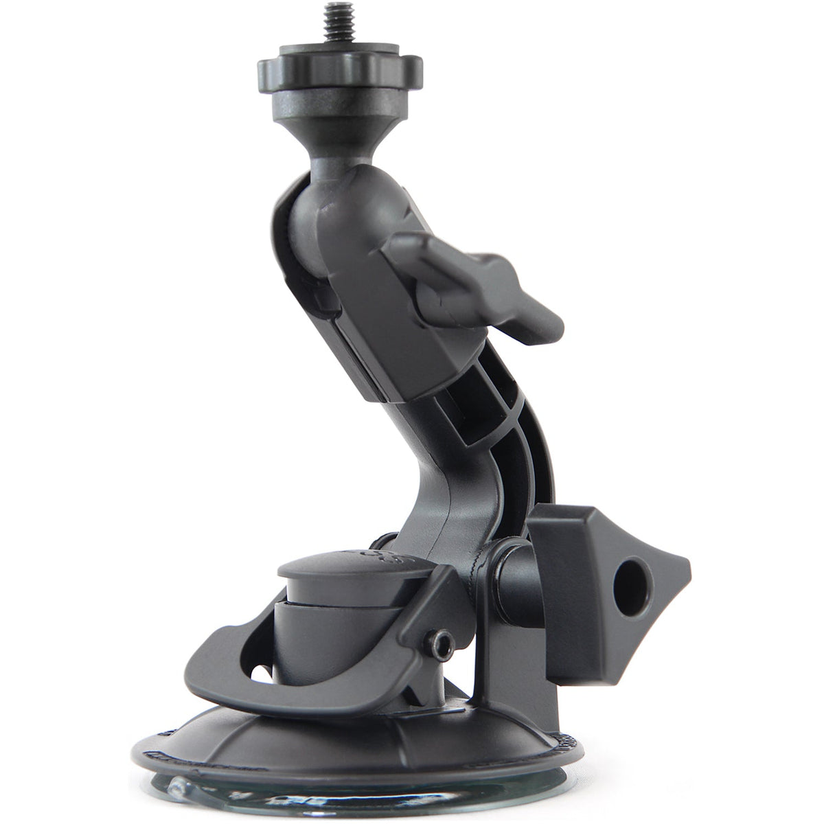 Ventosa Suction Cup Fat Gecko Mini