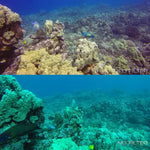 Filtro Rojo Polar Pro C1009