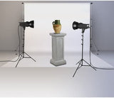Kit Strobe Raya Alpha Digital 400Ws 2 Monolight 1